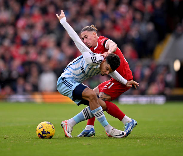 上的成熟 上的成熟