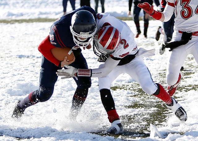 鱼腩球队 鱼腩球队